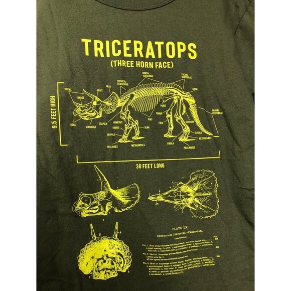 GAP‎ Boy's 2-Piece Short Sleeve T-Shirt & Shorts Outfit Set SZ 10/12 NWT - Picture 4 of 10